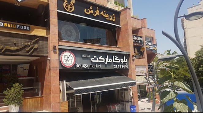 مجتمع البرز