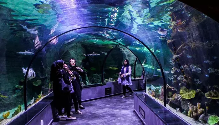 آکواریوم میکامال