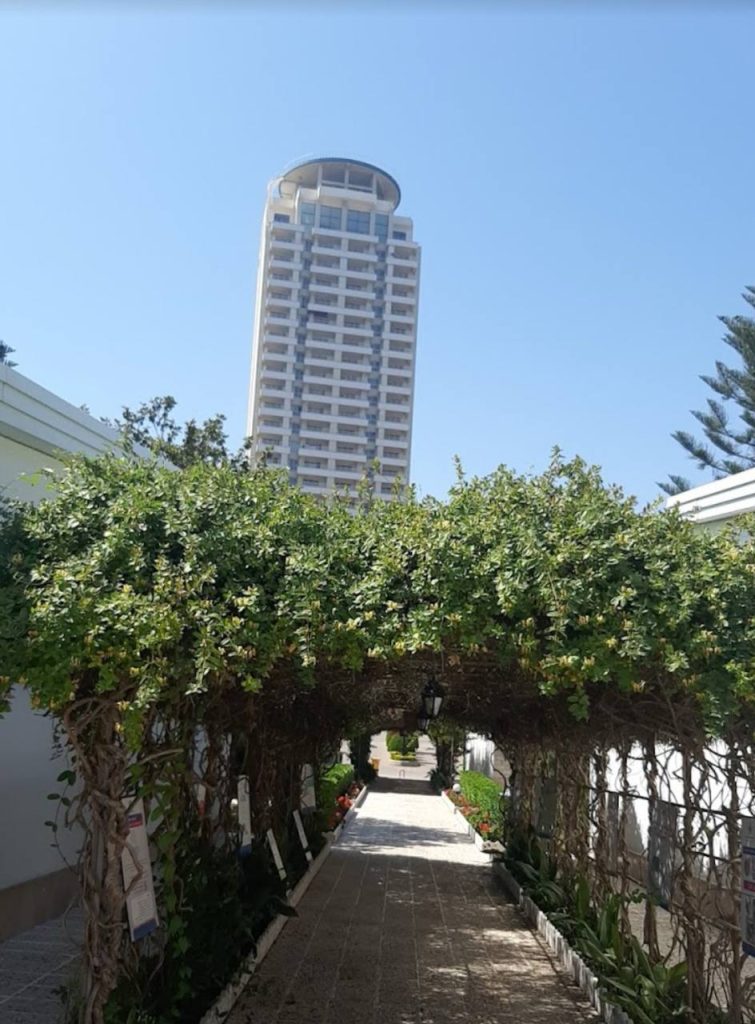 فضای سبز
