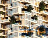 پوراندخت ولنجک