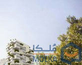 پروژه پوراندخت ولنجک