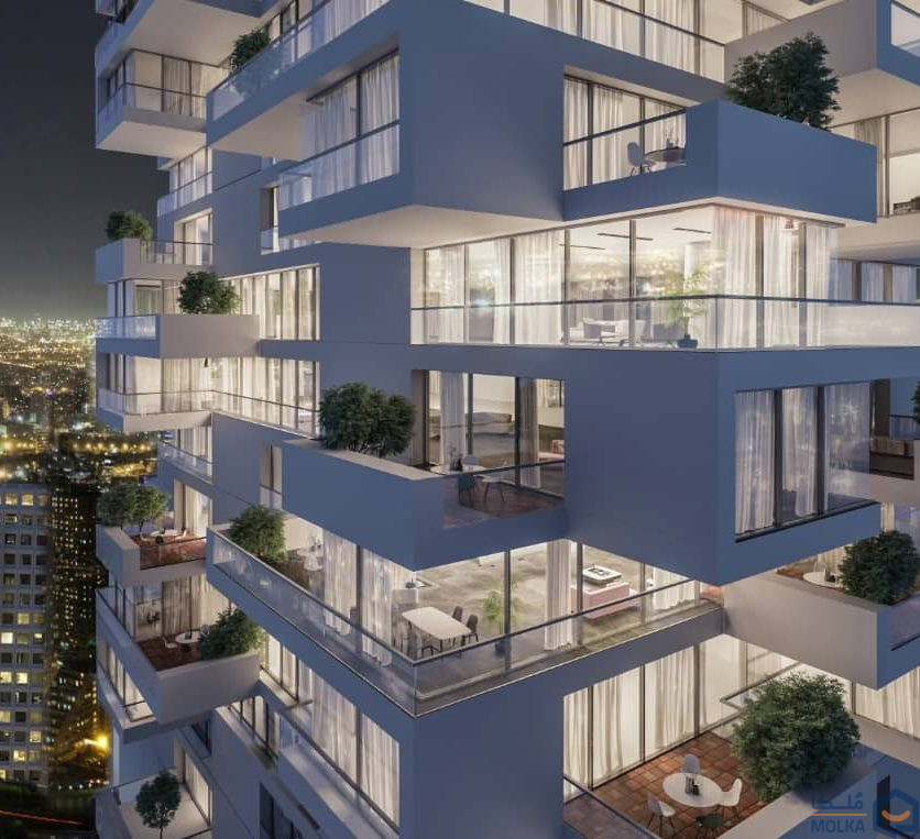 پوران دخت ولنجک