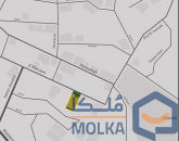 پارامیس الیت فرشته